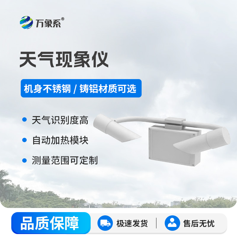 天氣現象檢測器